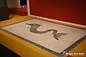 VBS_8989 - Mostra Invito a Pompei